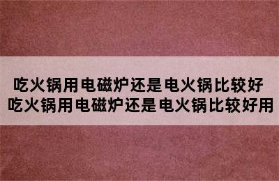 吃火锅用电磁炉还是电火锅比较好 吃火锅用电磁炉还是电火锅比较好用